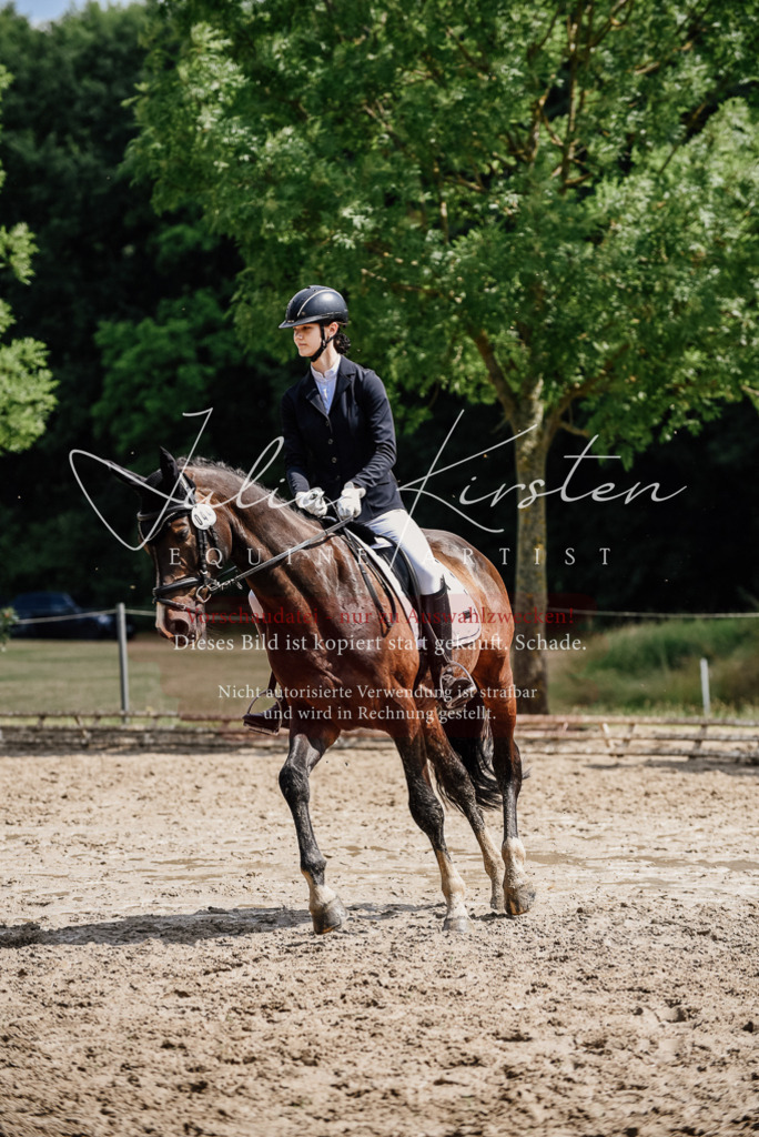DSC_0821 | Pferde- und Turnierfotografie in Westsachsen. Pferdeportraits, Auftragszeichnungen und intuitive Kunst.