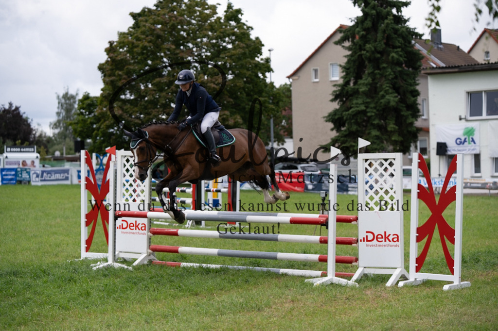 A7V03915 | Pferdefotograf