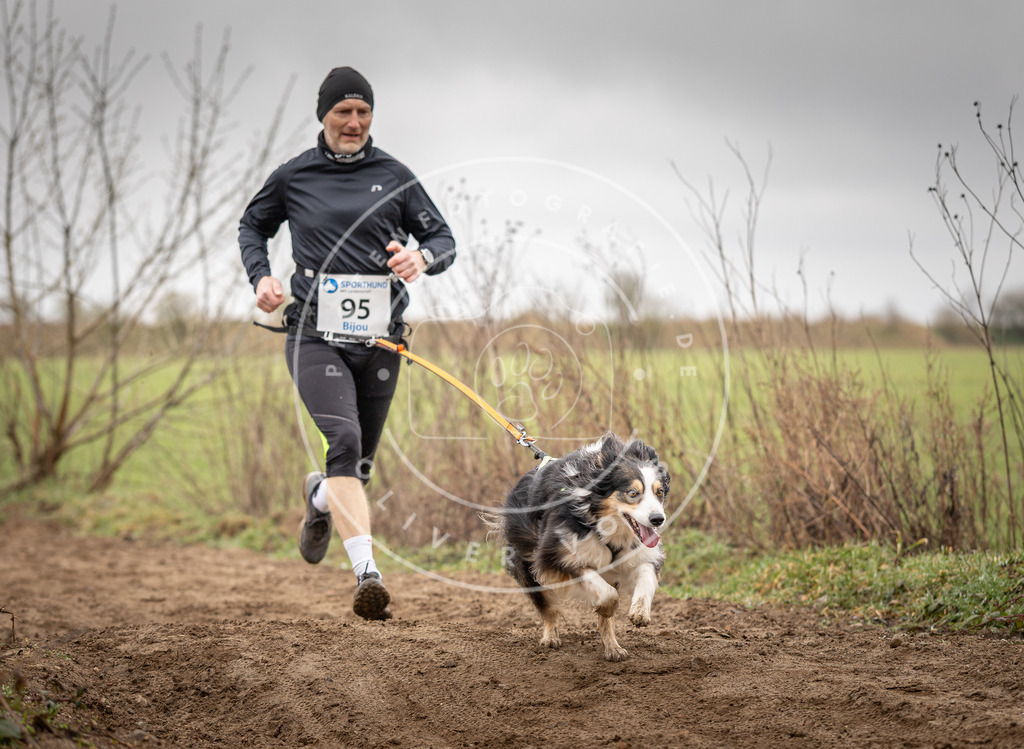 DV3A0087 | Hundefotografie, Tierfotograf, Pfotenfotografie, Fotoshooting Hund, Hunde Portrait, Hundesport, Hundeportraits, Heideshooting, Hunde, Sportfotograf, Hundefotograf, Turnierhundsport, THS,  - Realisiert mit Pictrs.com