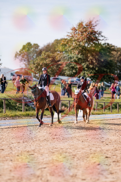 2026_10_03_Siefer-Hof_130156_Z81_54167557 | Professionelle Reitsport-, Turnier- und Eventfotografie von Robert Broda. Galerien mit ausgewählten und bearbeiteten Bildern direkt online ansehen und bestellen.