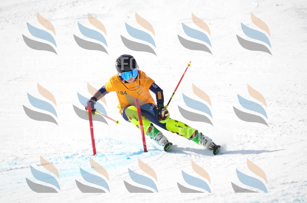 C8013 | holidayphoto