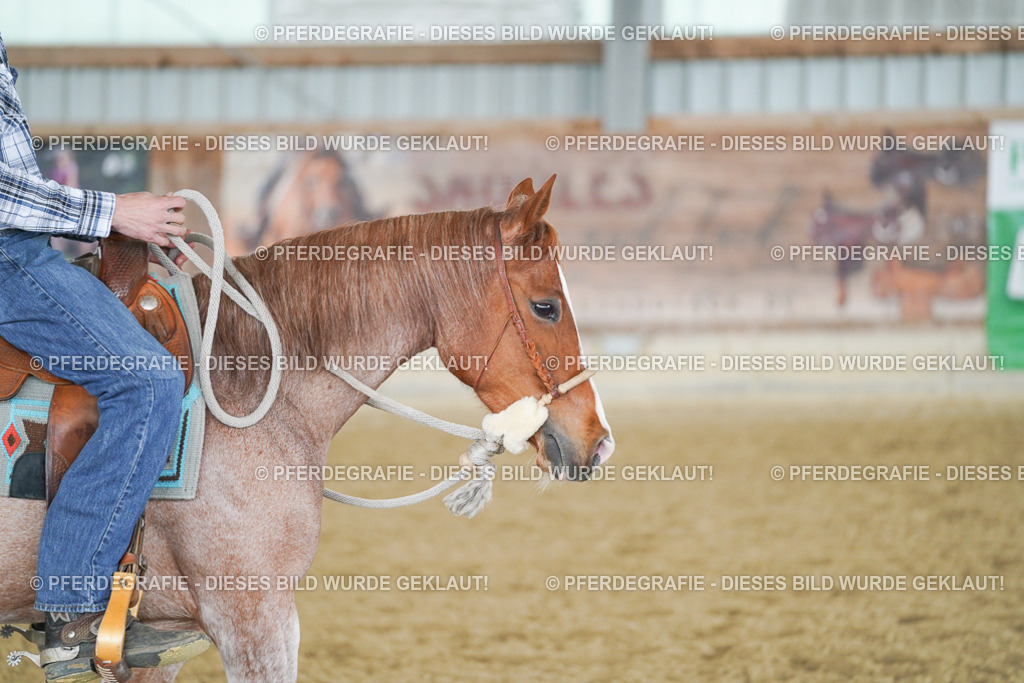 DSC03750 | Pferdegrafie