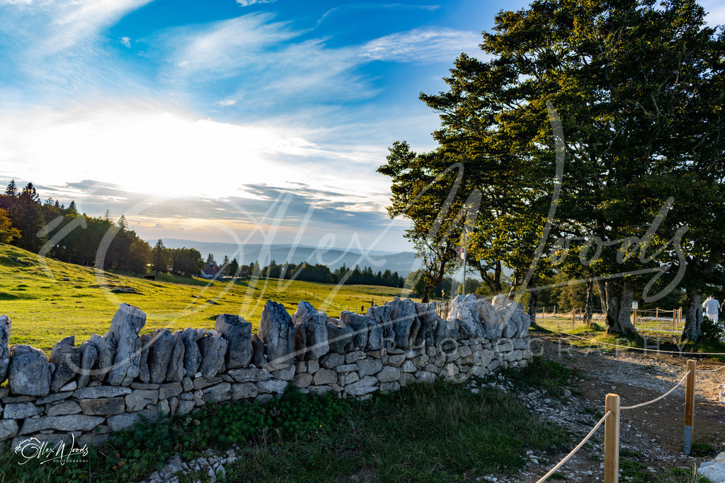 20240921_184138_SA7CR059_AlexWoods_FullSize | Alex Woods Photography