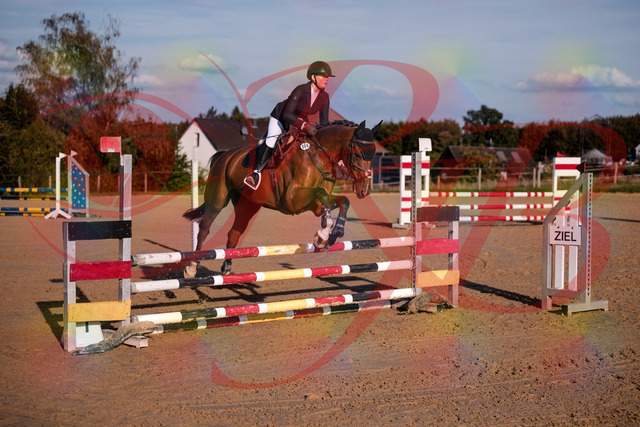 2026_10_03_Siefer-Hof_170837_Z81_05027641 | Professionelle Reitsport-, Turnier- und Eventfotografie von Robert Broda. Galerien mit ausgewählten und bearbeiteten Bildern direkt online ansehen und bestellen.