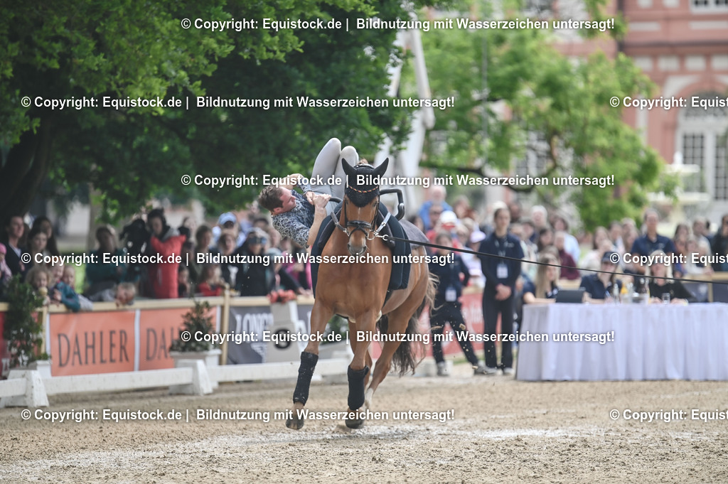 20240519_Voltige_0565 | Foto: Thomas Hartig