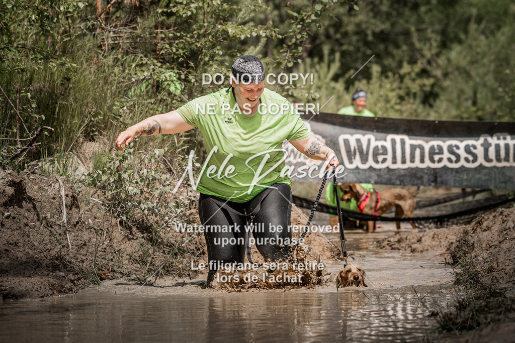 nelerasche_Hoope2026_Sa1200-1230_680 | nelerasche