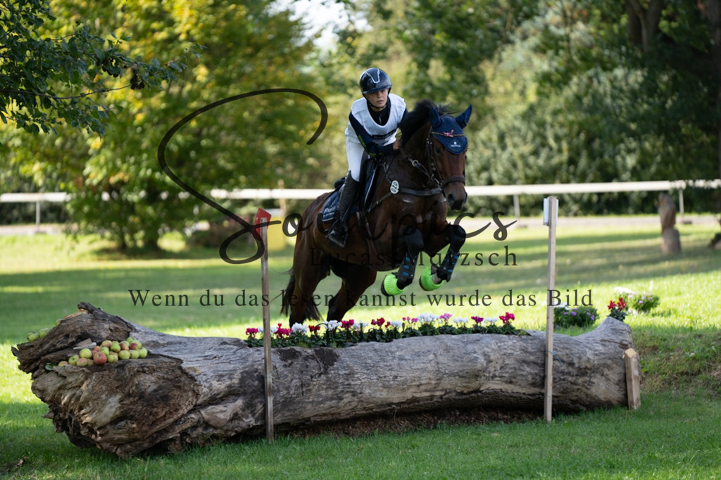 A7V03301 | Pferdefotograf