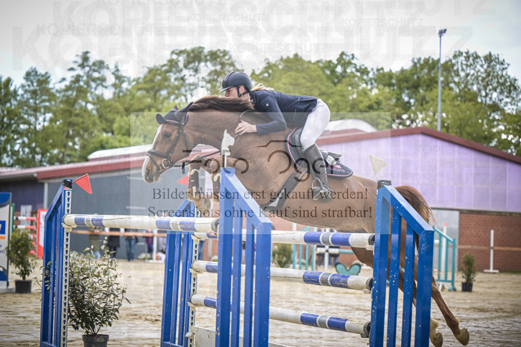 DOS_2155 | Entdecke hochwertige Reitturnierfotos von Foto Oger. Professionell, emotional und authentisch – jetzt Lieblingsmomente im Shop bestellen.Deutschlandweite Turnierfotografie. - Realisiert mit Pictrs.com