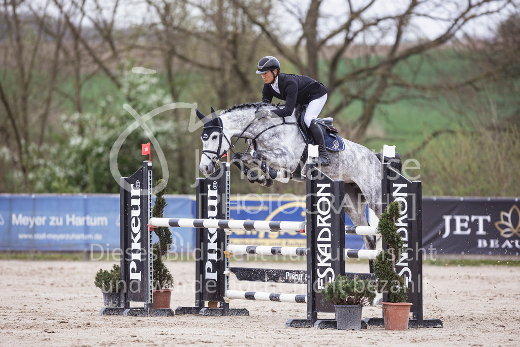 250417_Springpferde-L2-324 | Deine schönsten Turniermomente als professionelle Fotos! Entdecke hochwertige Pferdesport-Fotografie im Online-Shop. Jetzt Fotos finden & bestellen!