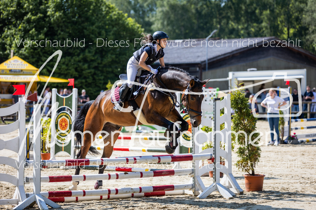 Donop24-ESpr-022 | MomenTaufnahmen Pferdesportfotos