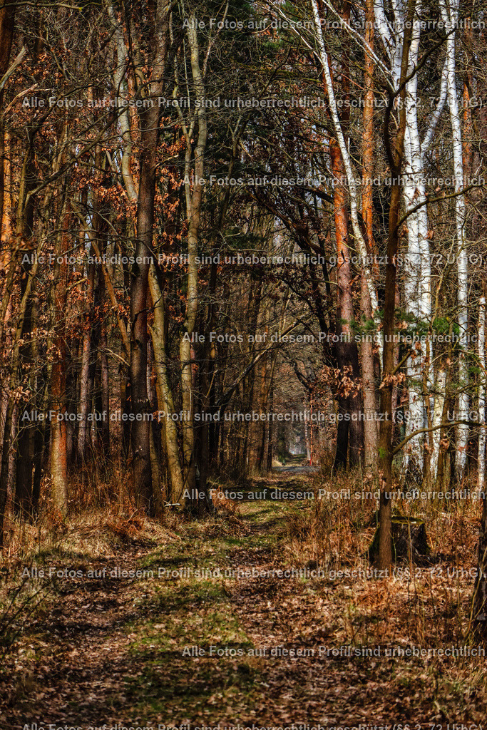 20240310130611_0C4A3061-01 | krollfotografie - Realisiert mit Pictrs.com