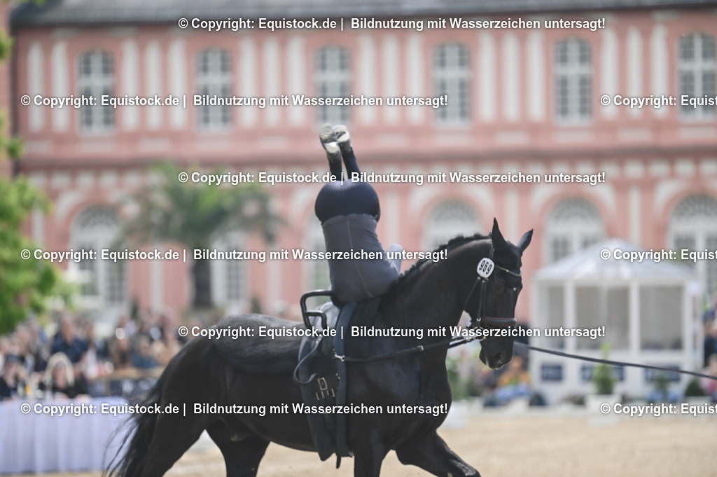 20240519_Voltige_0474 | Foto: Thomas Hartig