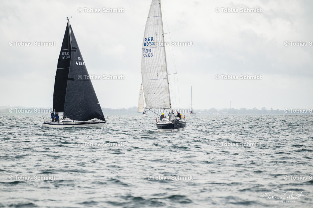 Fehmarn Rund 2025_DSC6823 | Fotoprodukte, Kalender und Wanddeko direkt vom Fotografen auf Fehmarn. Ob Wandbild auf Alu-Dibond, hinter Acrylglas oder auf Leinwand – hier können Sie Ihr Lieblingsbild kaufen. - Realisiert mit Pictrs.com