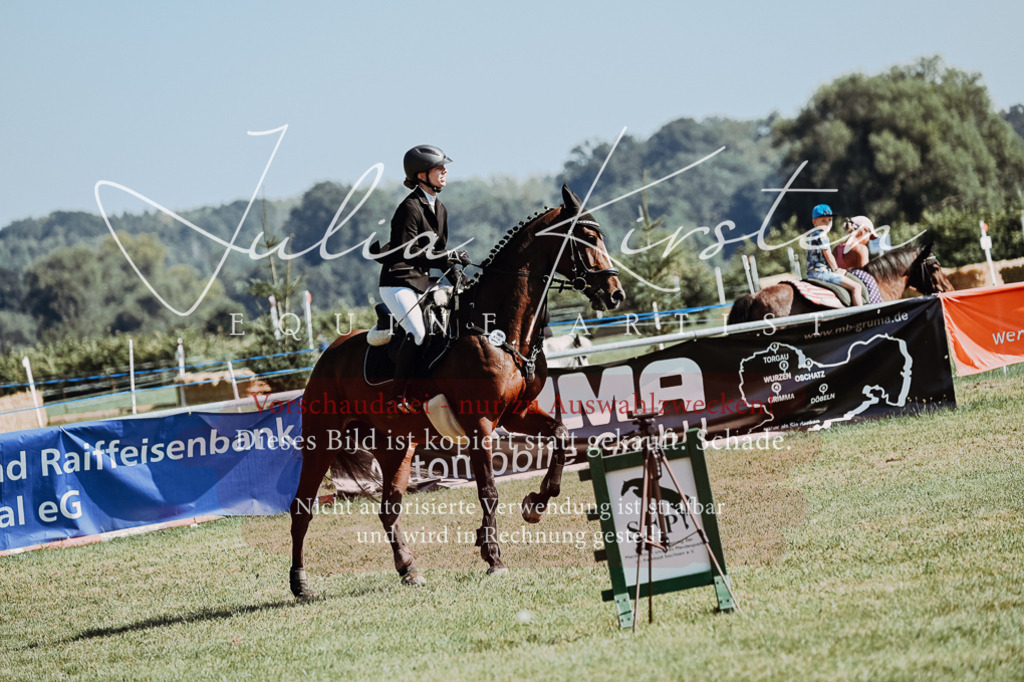 DSC_5839 | Pferde- und Turnierfotografie in Westsachsen. Pferdeportraits, Auftragszeichnungen und intuitive Kunst.