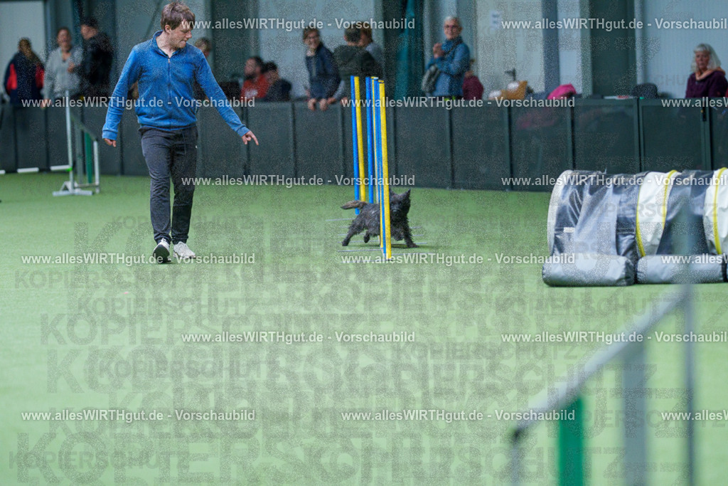 @allesWIRTHgut_Tierfotografie - www.allesWIRTHgut.de - 2604251128-7R500722 | Professionelle Tierfotografie in Mönchengladbach von Daniel Wirth (allesWIRTHgut). Liebevolle & natürliche Bilder von Hunden & Katzen für unvergessliche Erinnerungen.