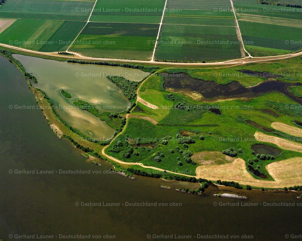 2519900 | Donau bei Aholfing