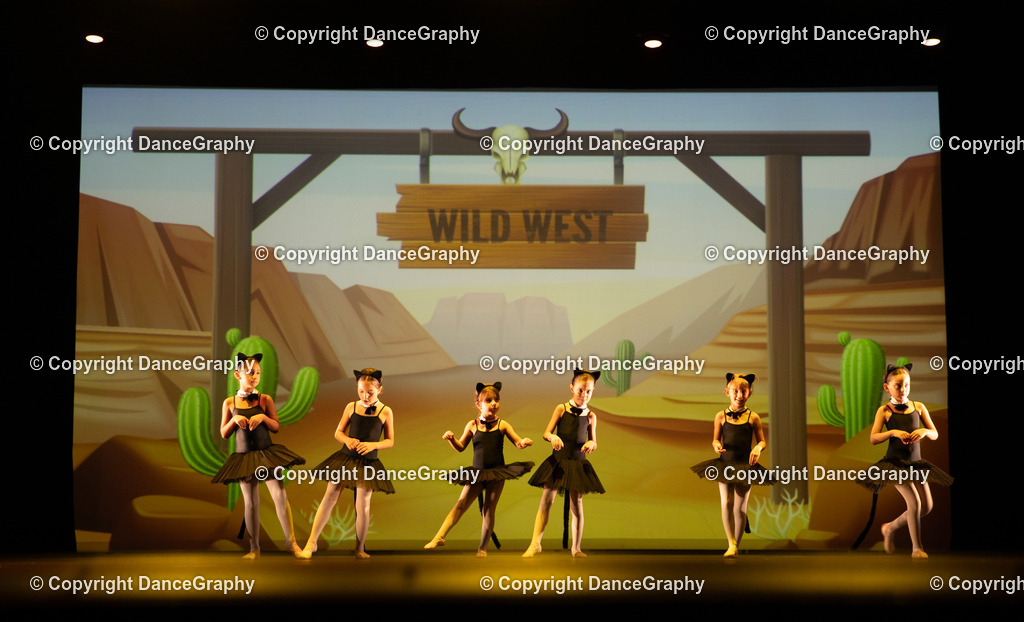 GPHY4241 | DanceGraphy - Realisiert mit Pictrs.com