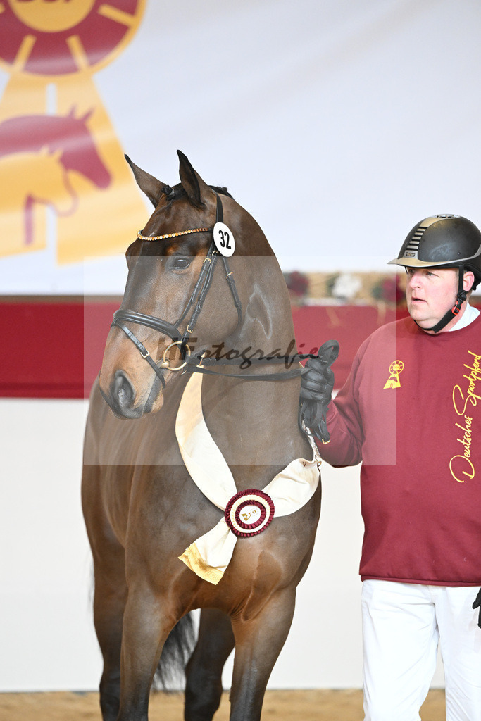 Kat-Nr. 32 Tangelo v d Zuuthoeve_Schlamminger GmbH_1231845 | hf-fotografie - Realizzato con Pictrs.com