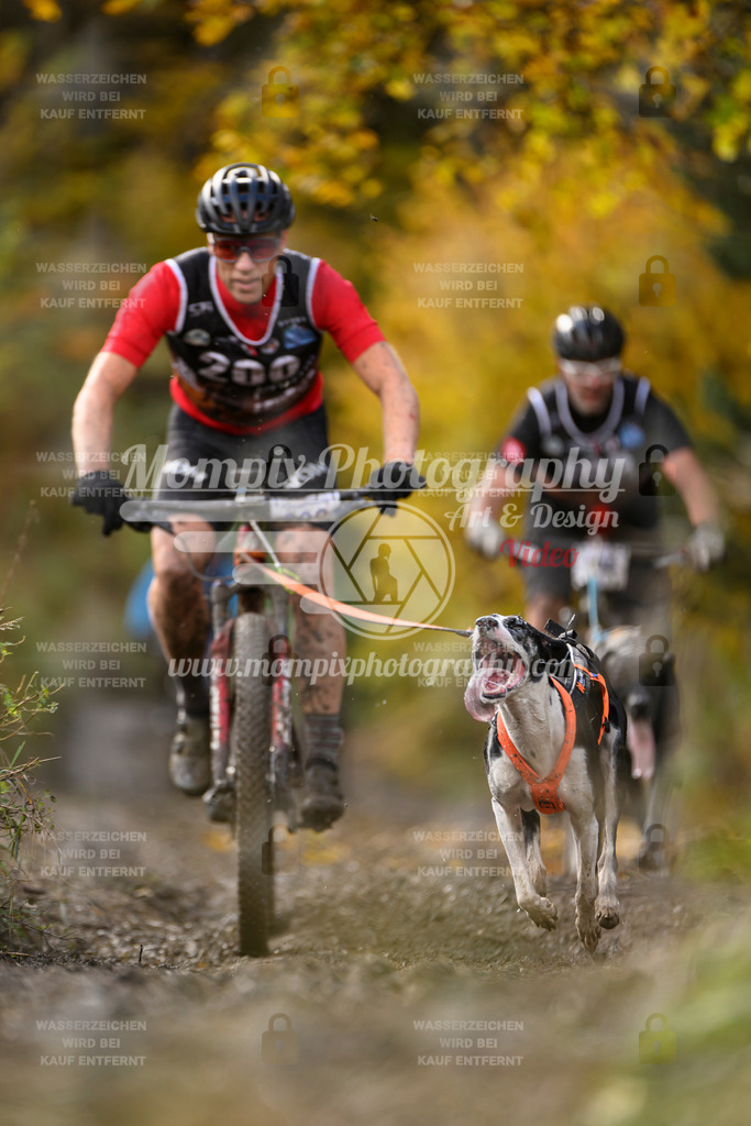 MompixPhotography_ICF_WC_2024_SA_Bike_-312 | PayLife