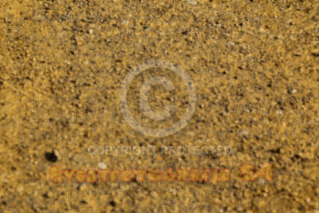 250614_0923_EV4_7964 | Sportfotografie im Rhein-Sieg Kreis, Köln, Bonn, NRW, Rheinland Pfalz, Hessen, etc. Unser Tätigkeitsfeld umfasst den Laufsport vom Volkslauf über den Marathon, Duathlon, Triathon bis zum Ultralauf wie Kölnpfad Ultra oder Schindertrail.
