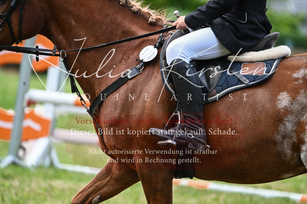 DSC_8649 | Pferde- und Turnierfotografie in Westsachsen. Pferdeportraits, Auftragszeichnungen und intuitive Kunst.