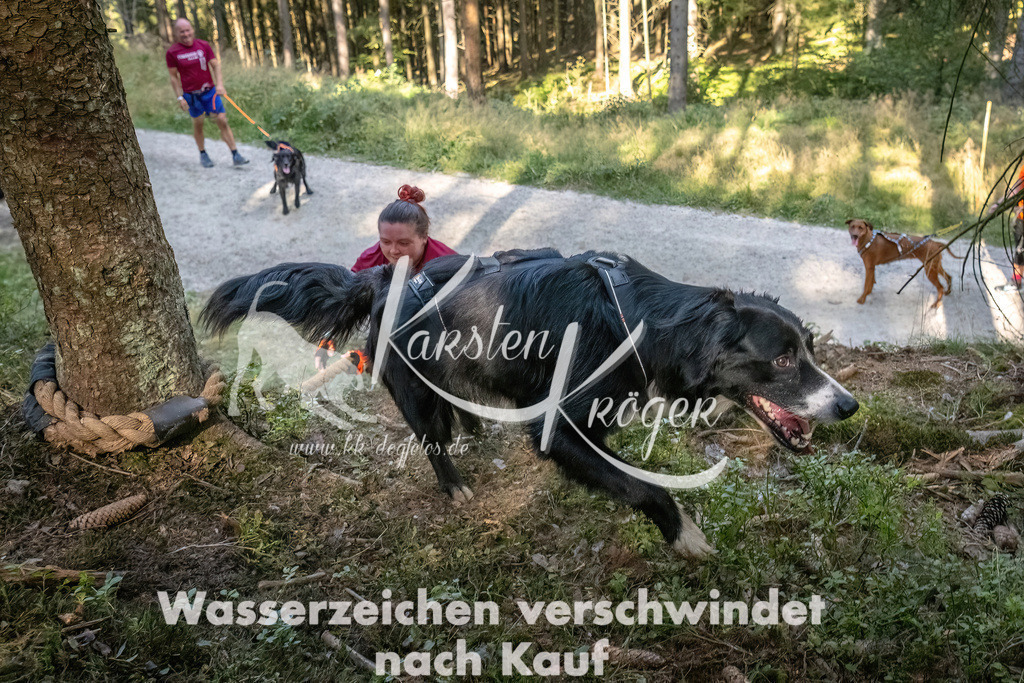 1056_ZZ93678 | kk-dogfotos