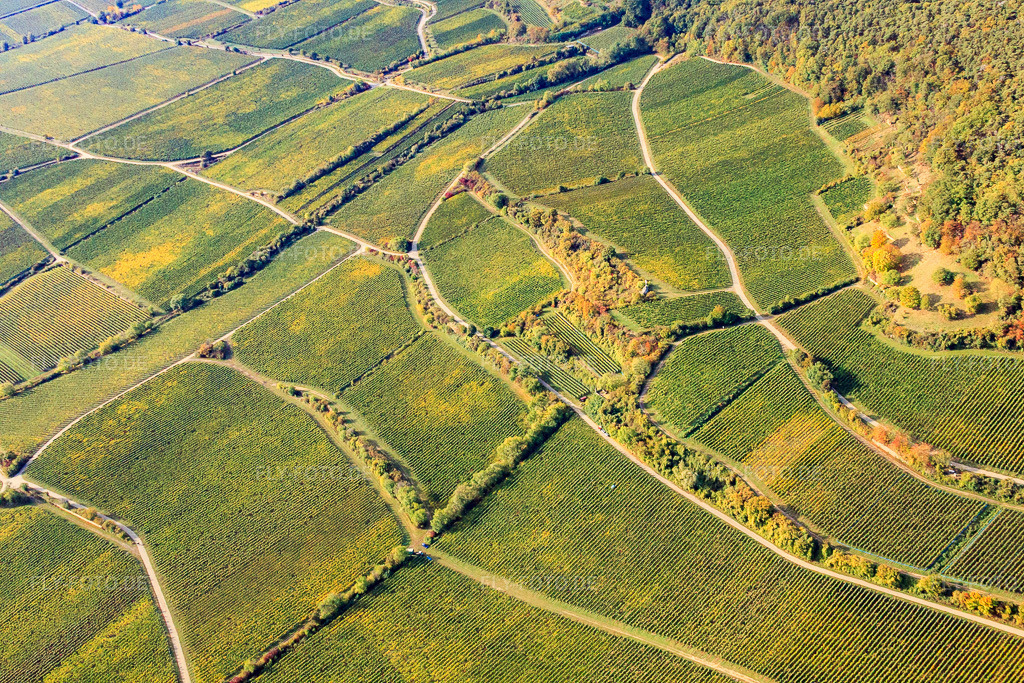 Luftbild: Weinlage Hahnenböhler Kreutz Kreuz über Forster Ungeheuer in Forst an der Weinstraße im Bundesland Rheinland-Pfalz in Deutschland. Foto: IMG_21988.jpg vom 15.10.2009 durch Werner Riehm/FLY-FOTO.de