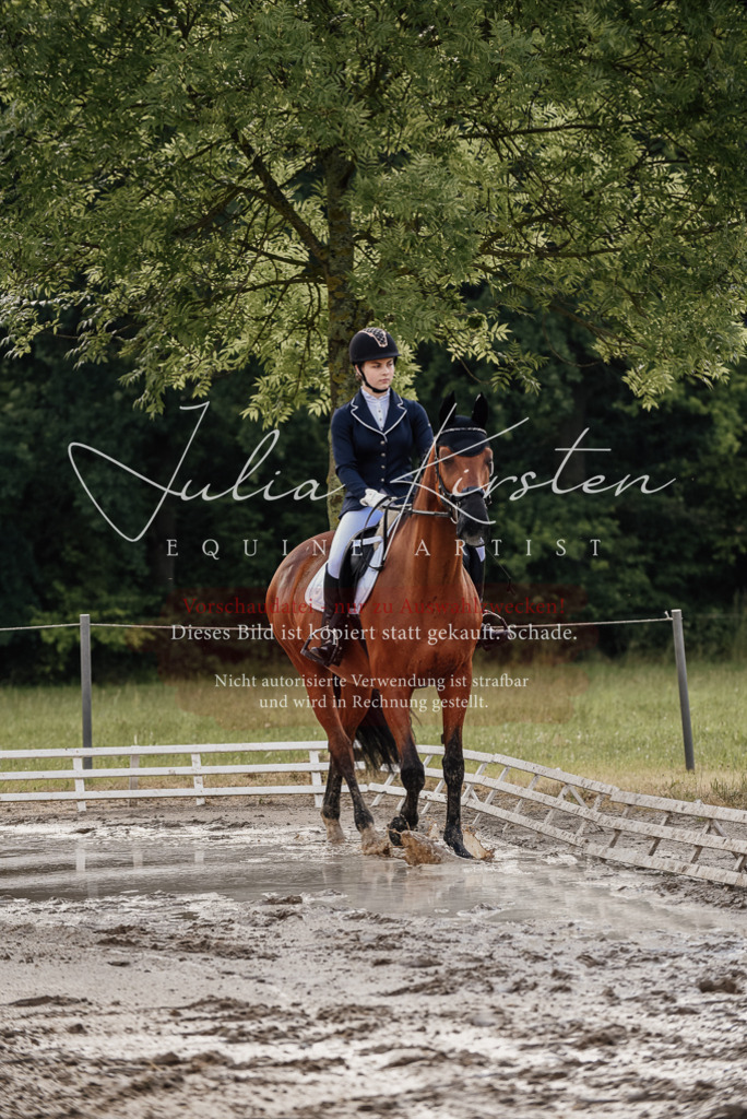 DSC_8427 | Pferde- und Turnierfotografie in Westsachsen. Pferdeportraits, Auftragszeichnungen und intuitive Kunst.