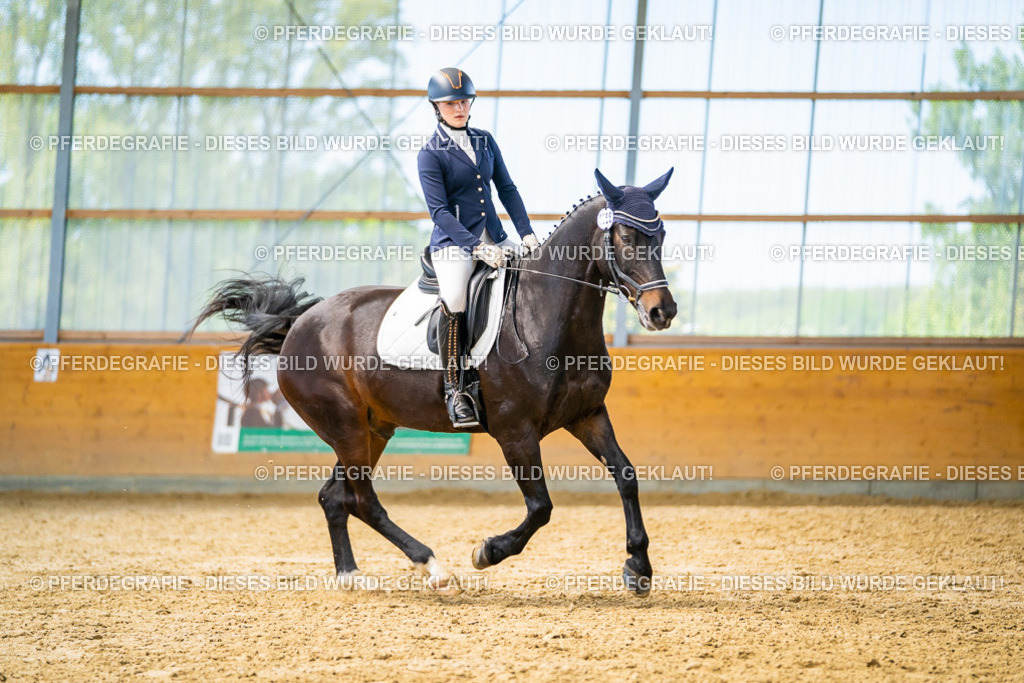 DSC08515 | Pferdegrafie