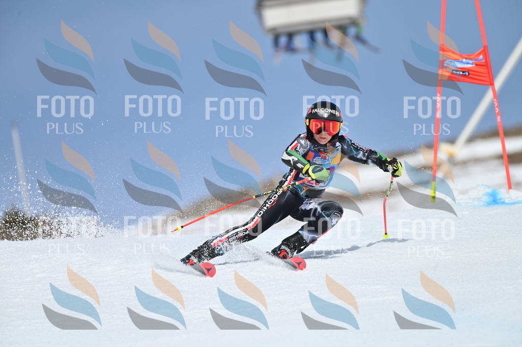 BGV_1036 | holidayphoto