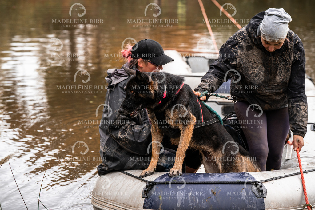 madeleinebirr-fotografie2025.campcanis.9-10Uhr-79 | hundefotografie-birr