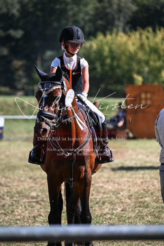 DSC_7012 | Pferde- und Turnierfotografie in Westsachsen. Pferdeportraits, Auftragszeichnungen und intuitive Kunst.