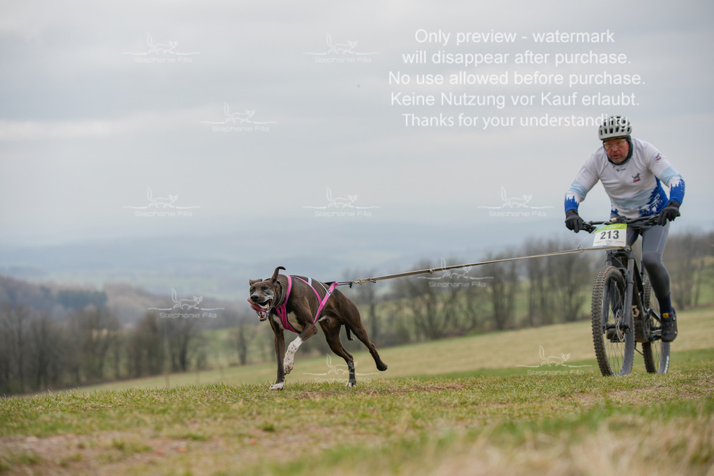 BikeSA-83 | stephaniefillaphotographie - Realisiert mit Pictrs.com