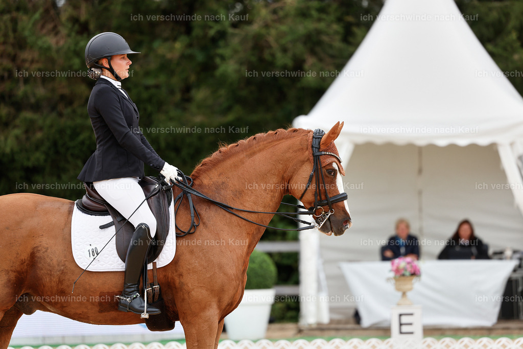 04_1-180-Dressur M__ -StoibPH-StoibPH-2633 | working equitationturnier fotograf videograf stoibphotography marixx film working equitation deutschland reitsport turnierfotografie eventfotografie equestrian events