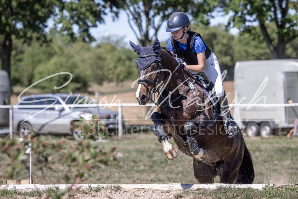 20260906-_3LI4197 | Tierfotografie Pferde, Hunde, Katzen, Haustiere.
Turnierfotografie Reitturniere, Reiten, Springreiten, Dressur in Hanau, dem Main-Kinzig-Kreis und dem Rhein-Main- Gebiet um Frankfurt