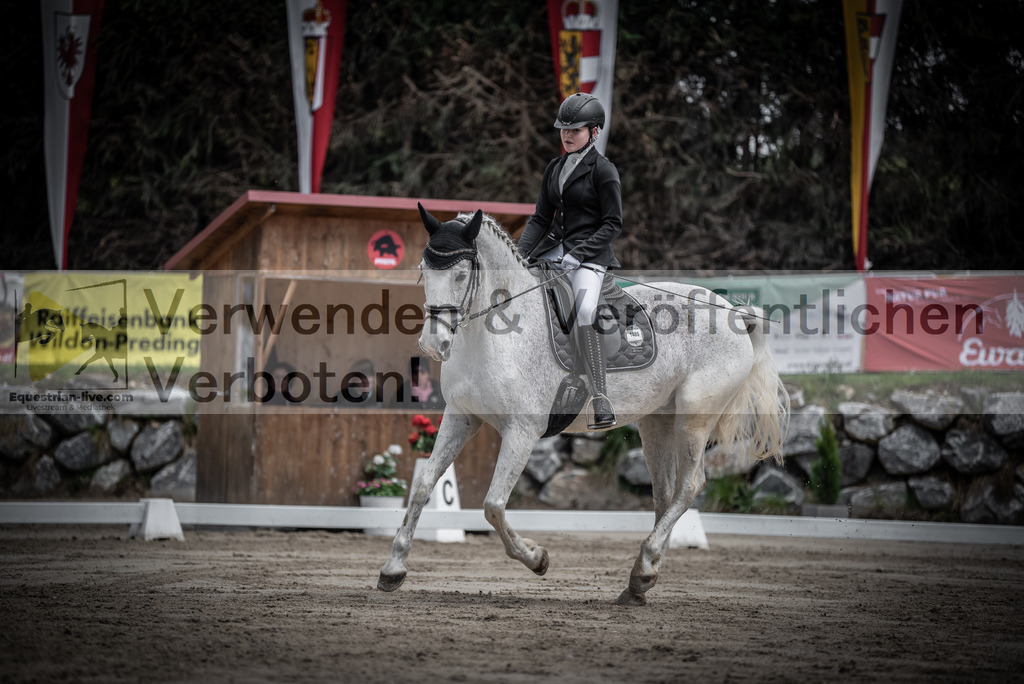 DSC_9731 | equestrian-live-com