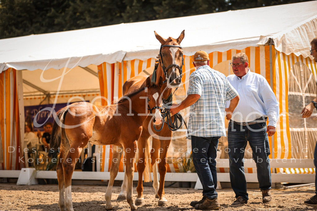 07.DoWBS00136 | Leoni Ertmer Photography - Realisiert mit Pictrs.com