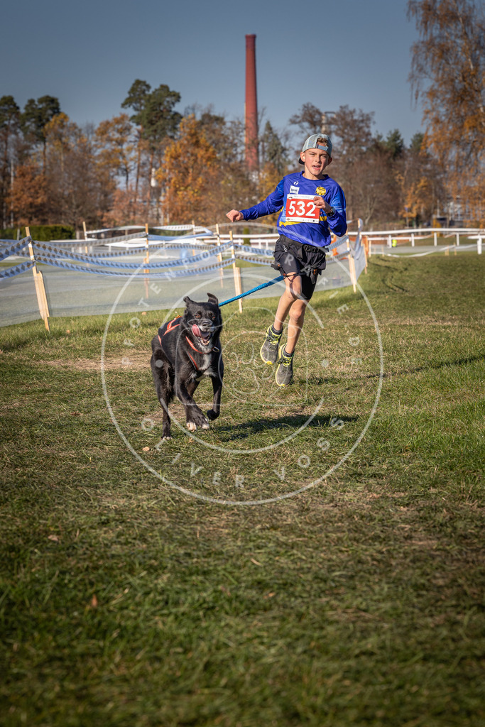 CaniXpix_0L8A7350 | Hundefotografie, Tierfotograf, Pfotenfotografie, Fotoshooting Hund, Hunde Portrait, Hundesport, Hundeportraits, Heideshooting, Hunde, Sportfotograf, Hundefotograf, Turnierhundsport, THS,  - Realisiert mit Pictrs.com