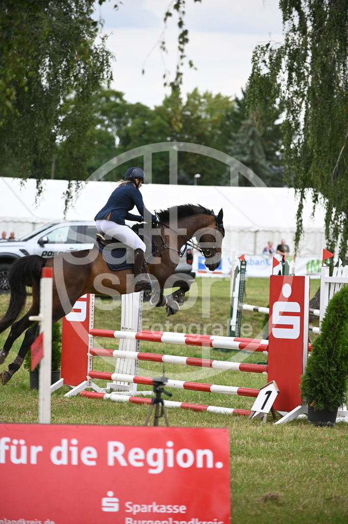 DSC_2426 | sattelsport - Realisiert mit Pictrs.com