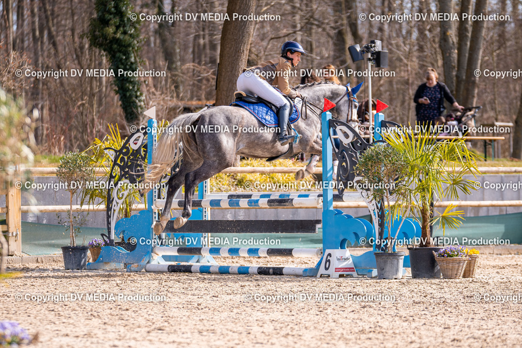 Kranichstein Tag 1-366 | dv-media-shop - Realisiert mit Pictrs.com