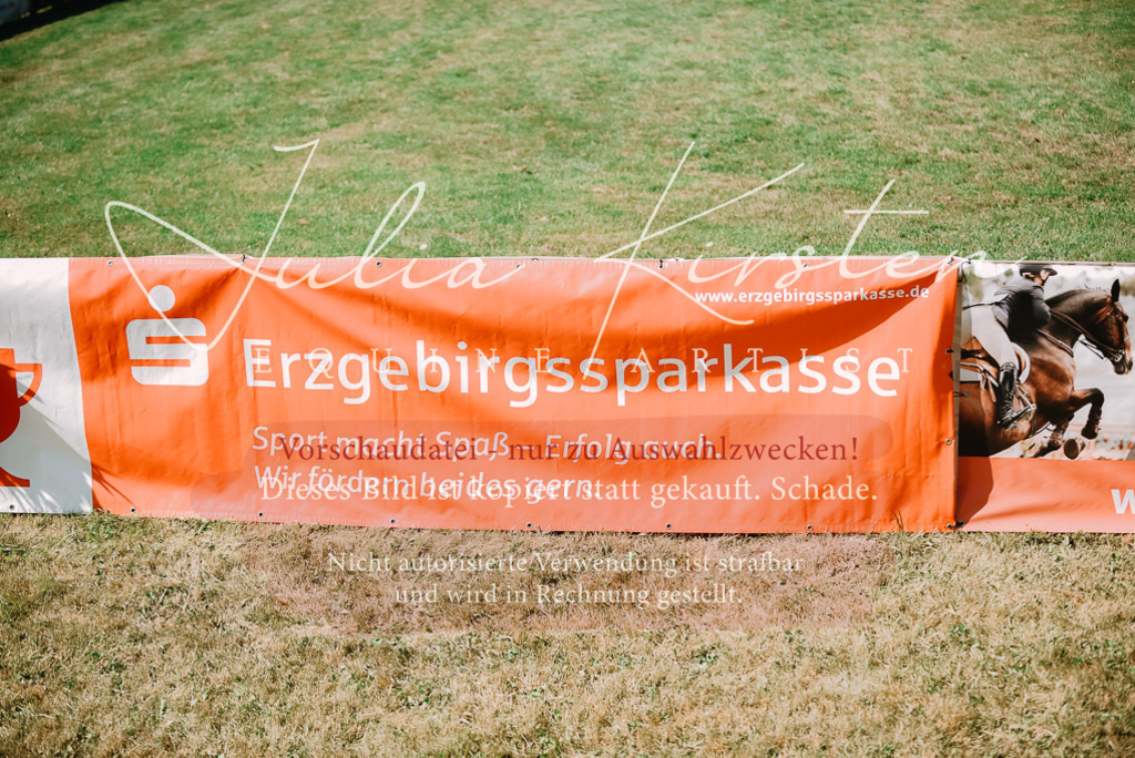 DSC_3401 | Pferde- und Turnierfotografie in Westsachsen. Pferdeportraits, Auftragszeichnungen und intuitive Kunst.