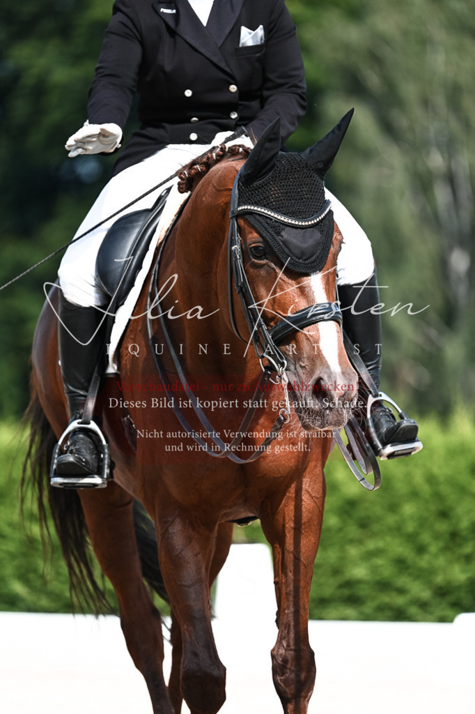 DSC_3286 | Pferde- und Turnierfotografie in Westsachsen. Pferdeportraits, Auftragszeichnungen und intuitive Kunst.
