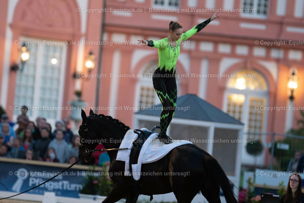 20230527_Voltigieren_NASPA_Flutlicht_0412 | equistock