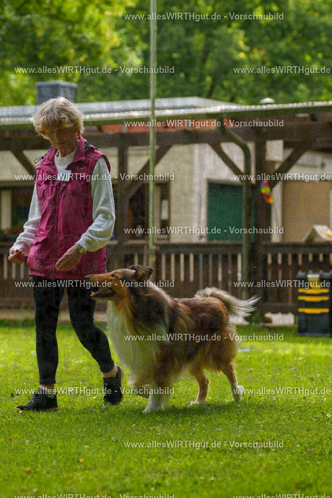 @allesWIRTHgut_Tierfotografie - www.allesWIRTHgut.de - 095220-7R507777 | Professionelle Tierfotografie in Mönchengladbach von Daniel Wirth (allesWIRTHgut). Liebevolle & natürliche Bilder von Hunden & Katzen für unvergessliche Erinnerungen.