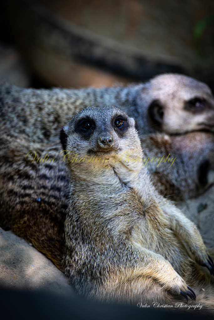 PH 3 | Christian Vulin  - Realisiert mit Pictrs.com