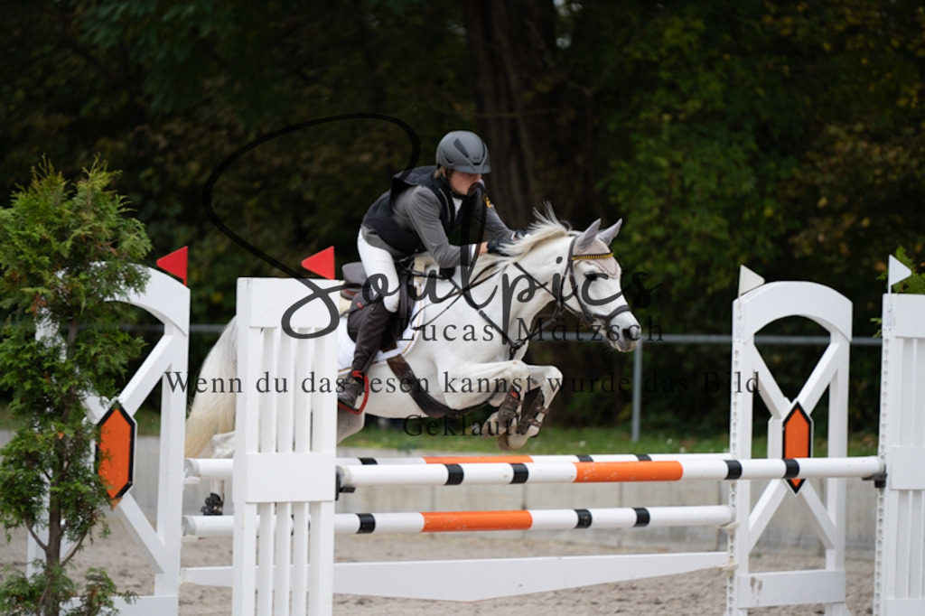 A7V00116 | Turnier/Reitfotograf