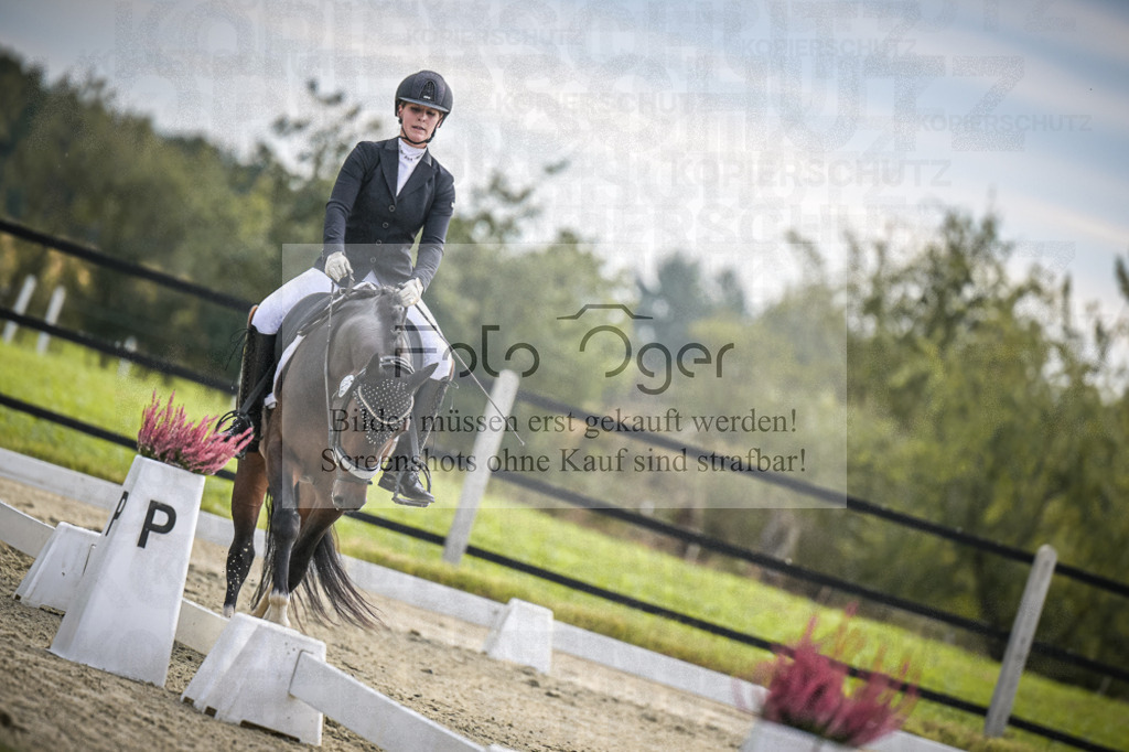 DOS_1092 | Entdecke hochwertige Reitturnierfotos von Foto Oger. Professionell, emotional und authentisch – jetzt Lieblingsmomente im Shop bestellen.Deutschlandweite Turnierfotografie. - Realisiert mit Pictrs.com