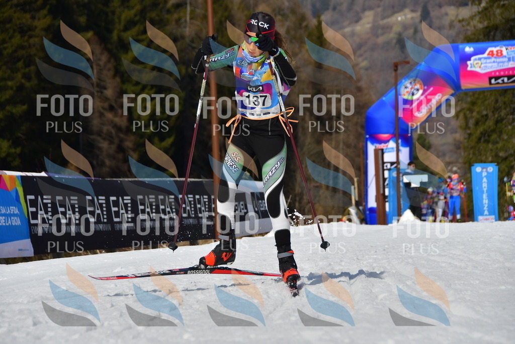 _DSC0043 | holidayphoto