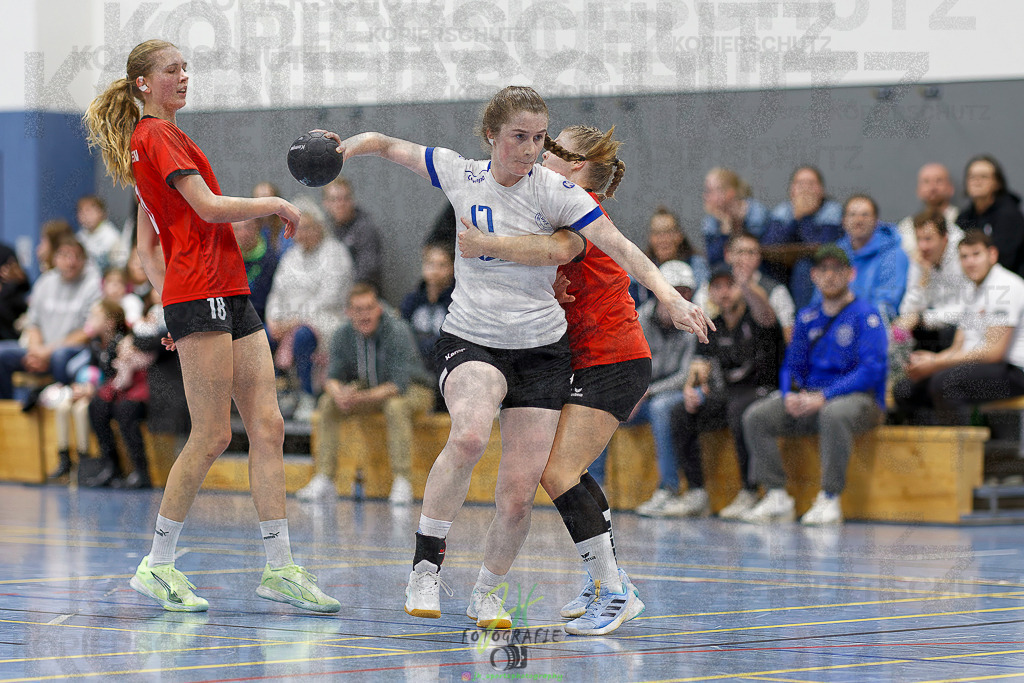 Frauen 2. Bezirksklasse; SG Rechtenbach - HSG Linden II | Frauen 2. Bezirksklasse; SG Rechtenbach - HSG Linden II am 16.11.2025 in Rechtenbach (Sporthalle Rechtenbach)Photo © 2025 - Jörg Heinrich - Realisiert mit Pictrs.com