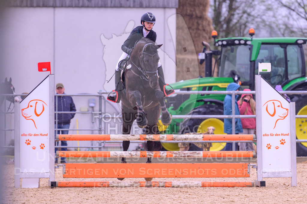 12042026-Mammendorf-Prfg38-0045 | Fokus Hufschlag Fotografie - Realisiert mit Pictrs.com